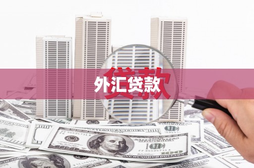 迎泽外汇贷款
