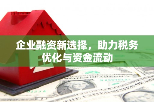 盐山企业融资新选择，助力税务优化与资金流动