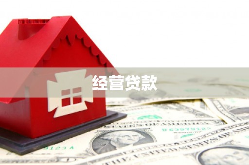 兴山经营贷款