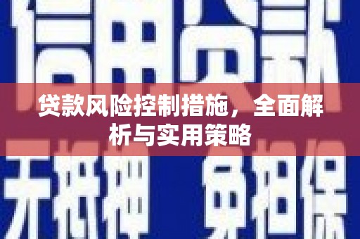 右江贷款风险控制措施，全面解析与实用策略