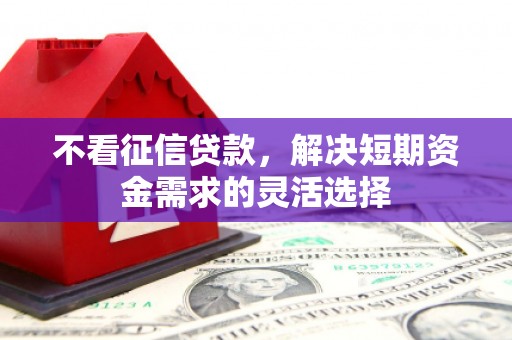 安县不看征信贷款，解决短期资金需求的灵活选择