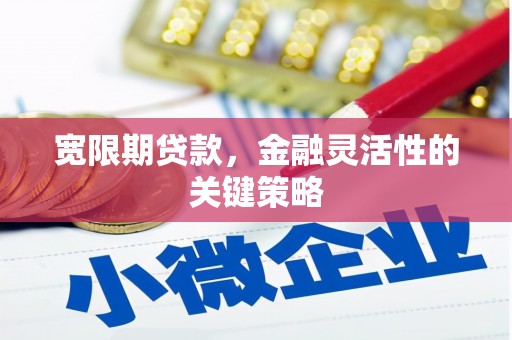 水富宽限期贷款，金融灵活性的关键策略