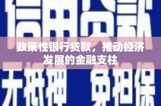 观音政策性银行贷款，推动经济发展的金融支柱
