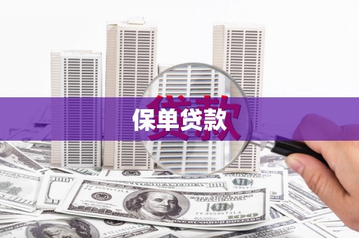 梅山保单贷款