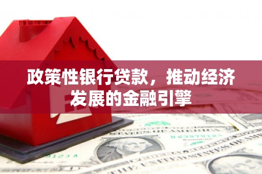 南化政策性银行贷款，推动经济发展的金融引擎