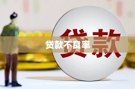 张家界贷款不良率