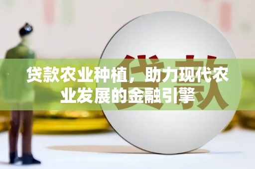乌恰贷款农业种植，助力现代农业发展的金融引擎