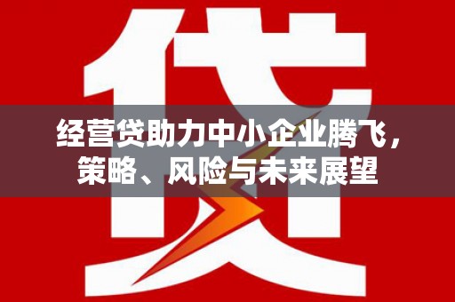 沙洋经营贷助力中小企业腾飞，策略、风险与未来展望
