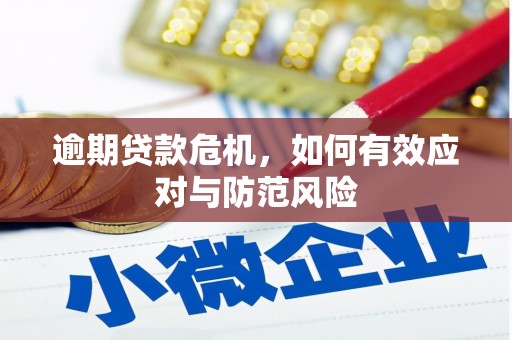 西华逾期贷款危机，如何有效应对与防范风险