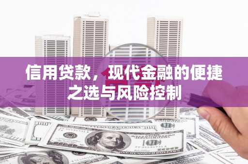 新都信用贷款，现代金融的便捷之选与风险控制