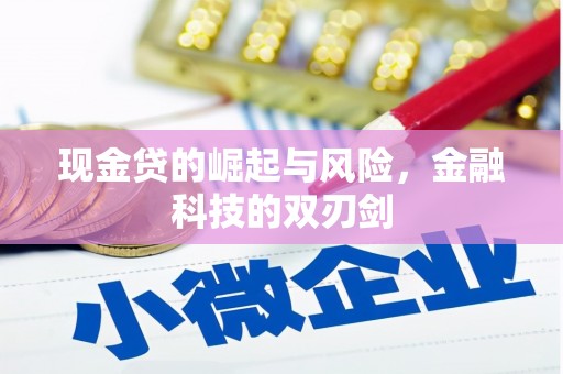 集美现金贷的崛起与风险，金融科技的双刃剑