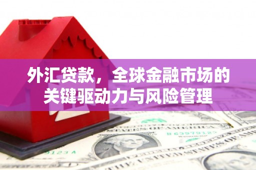 泸溪外汇贷款，全球金融市场的关键驱动力与风险管理