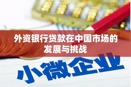 金湾外资银行贷款在中国市场的发展与挑战