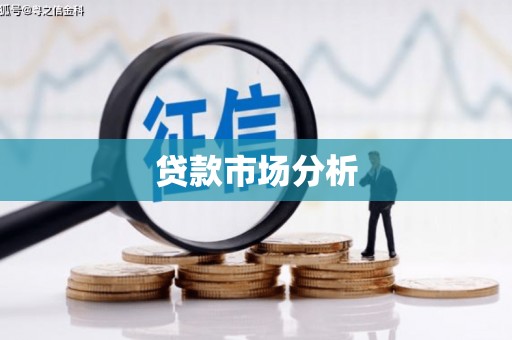 师宗贷款市场分析