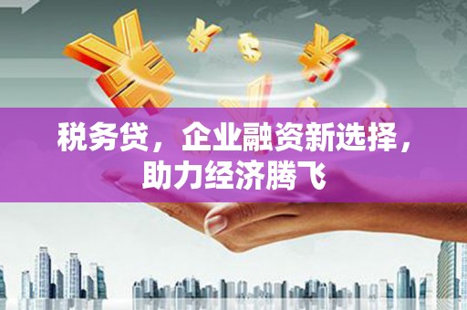耒阳税务贷，企业融资新选择，助力经济腾飞