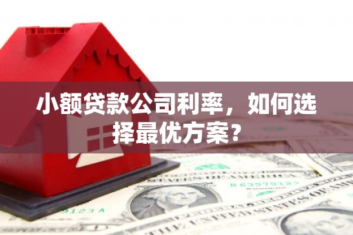 交口小额贷款公司利率，如何选择最优方案？