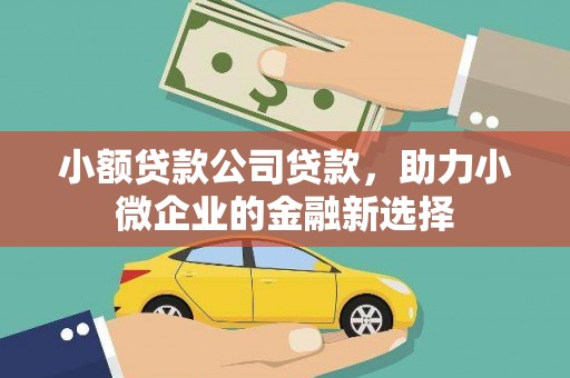 玉屏小额贷款公司贷款，助力小微企业的金融新选择