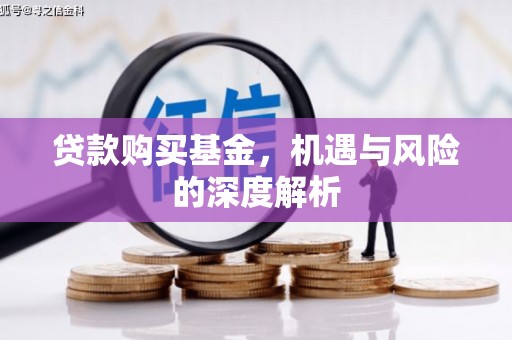 荔浦贷款购买基金，机遇与风险的深度解析