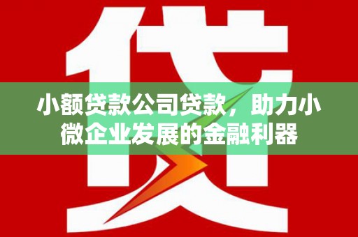广德小额贷款公司贷款，助力小微企业发展的金融利器