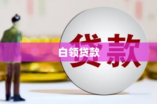 望城白领贷款