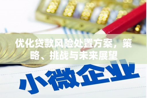 彰武优化贷款风险处置方案，策略、挑战与未来展望