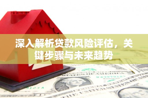 顺庆深入解析贷款风险评估，关键步骤与未来趋势