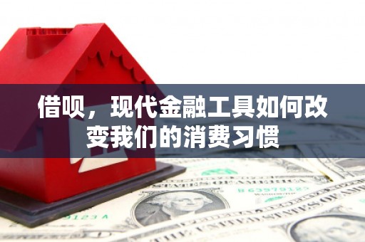 蕉城借呗，现代金融工具如何改变我们的消费习惯