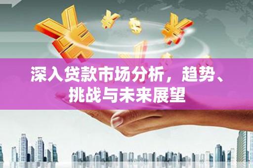 南宫深入贷款市场分析，趋势、挑战与未来展望