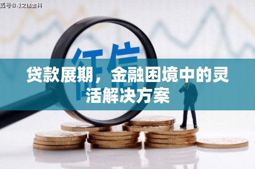 利辛贷款展期，金融困境中的灵活解决方案