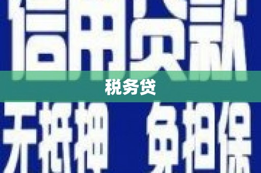 武进税务贷