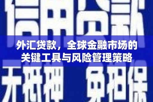 铁锋外汇贷款，全球金融市场的关键工具与风险管理策略