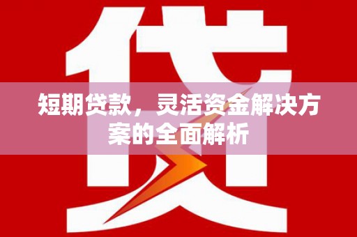 金安短期贷款，灵活资金解决方案的全面解析