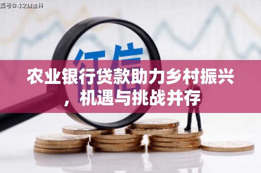 亭湖农业银行贷款助力乡村振兴，机遇与挑战并存