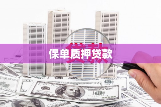 吴兴保单质押贷款