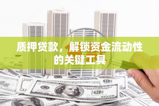 石龙质押贷款，解锁资金流动性的关键工具