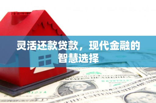 麦寮灵活还款贷款，现代金融的智慧选择