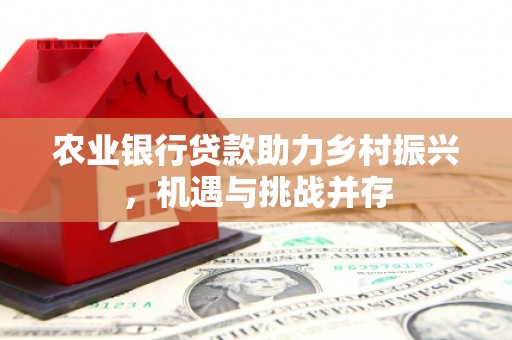 六枝农业银行贷款助力乡村振兴，机遇与挑战并存