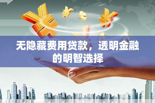 固原无隐藏费用贷款，透明金融的明智选择