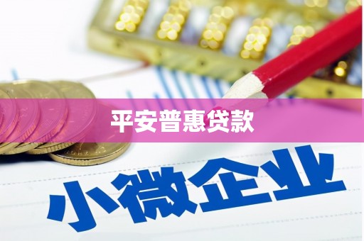 赤坎平安普惠贷款