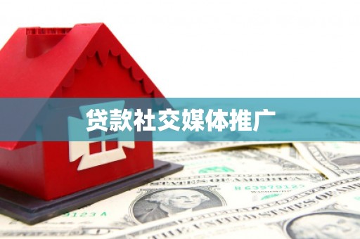龙泉驿贷款社交媒体推广