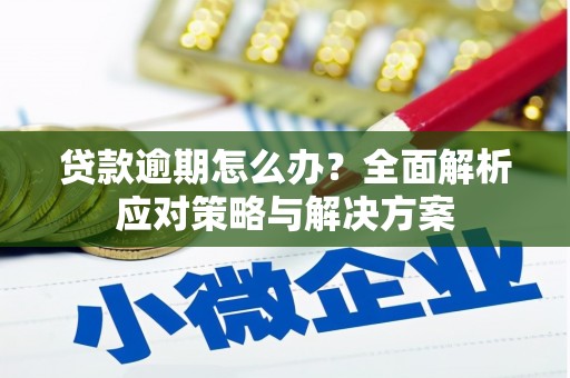 文峰贷款逾期怎么办？全面解析应对策略与解决方案