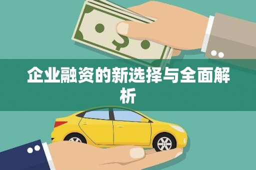 定安企业融资的新选择与全面解析