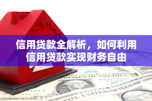 阜城信用贷款全解析，如何利用信用贷款实现财务自由