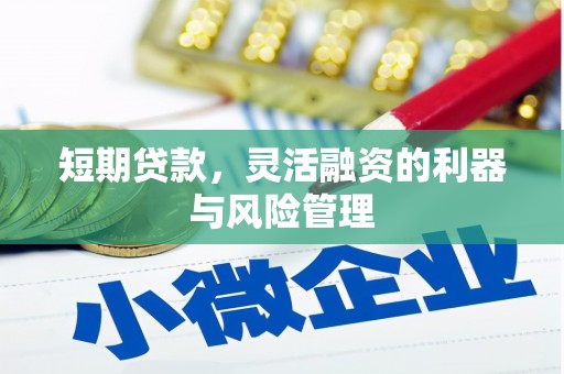 万年短期贷款，灵活融资的利器与风险管理