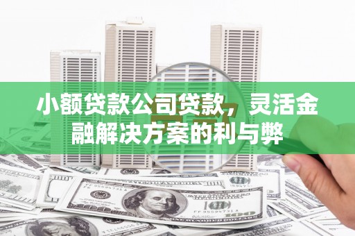 耒阳小额贷款公司贷款，灵活金融解决方案的利与弊