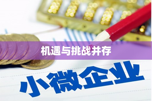溆浦机遇与挑战并存